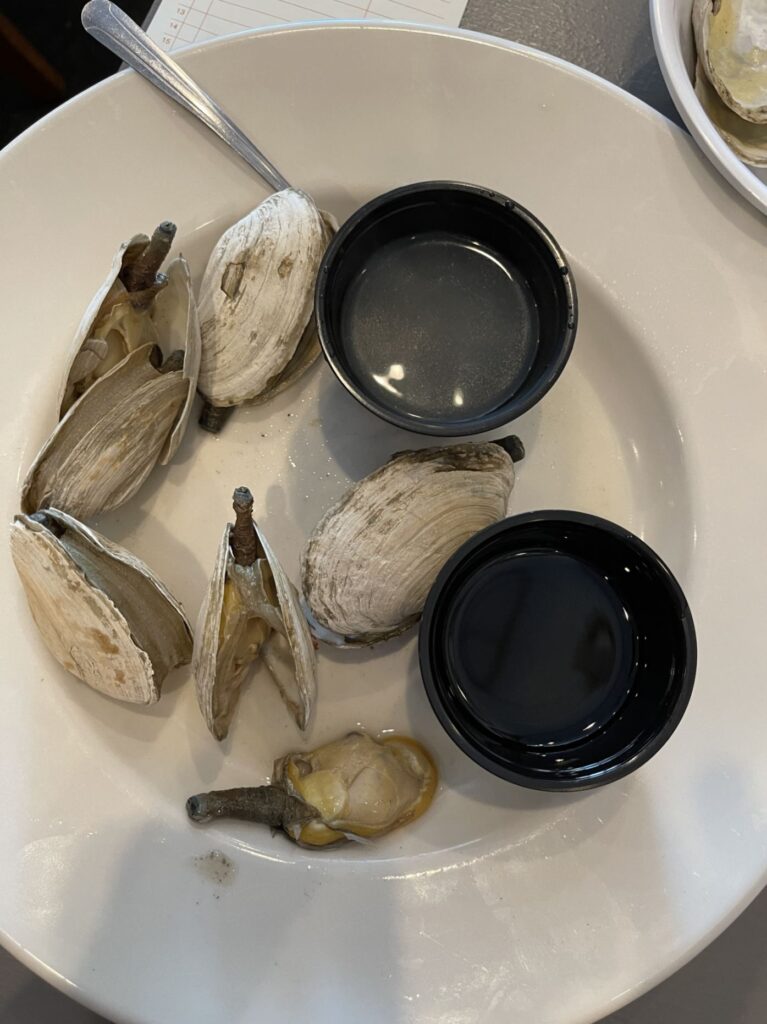 Steamers of Naples 4